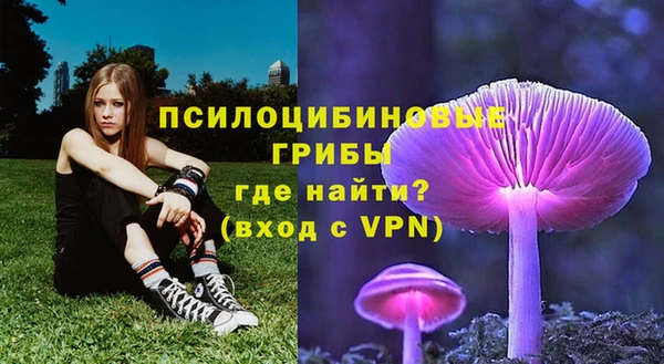 a pvp Богородицк