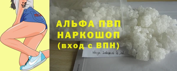 спиды Белокуриха