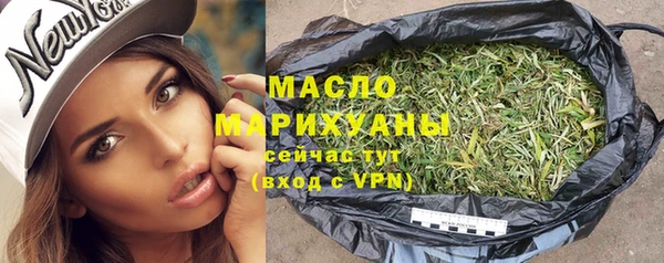 сатива Сясьстрой