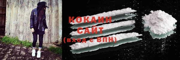 сатива Богородск