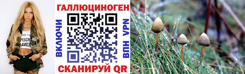 как найти   Белебей  Галлюциногенные грибы ЛСД 